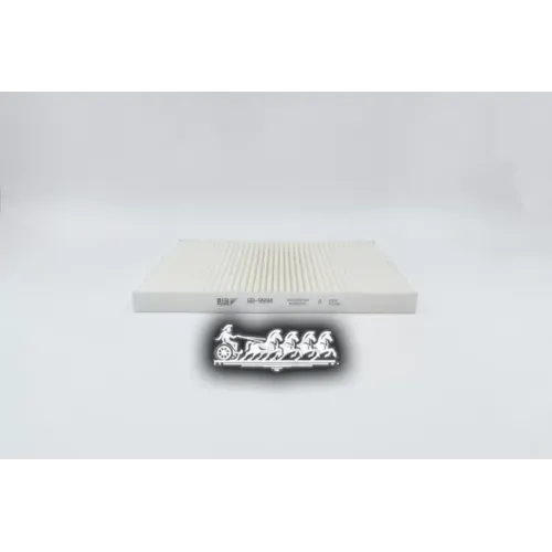 Фильтр Салона Ford Fiesta 08- BIG FILTER 