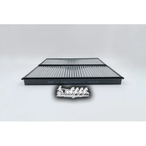 Фильтр Салона Bmw E65/E66 Угольный (Упак.2шт.) BIG FILTER 