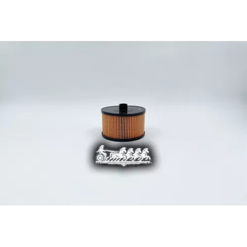 Фильтр Топливный Ford/Psa Focus 2/Kuga/307/308/Jumpy 04- BIG FILTER 