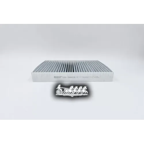 Фильтр Салона Ford Fiesta/Fusion -02 Угольный BIG FILTER 