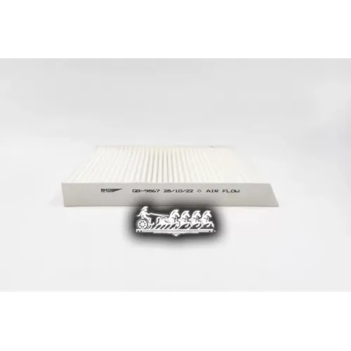 Фильтр Салона Renault Megane/Scenic Ii 99- BIG FILTER 