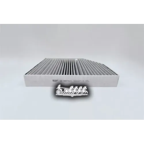 Фильтр Салона Mb Amg Gt(X290)/C(W205)/Cls(C257)/E(W213)/Eqc(W293) 10- (Угольный) BIG FILTER 