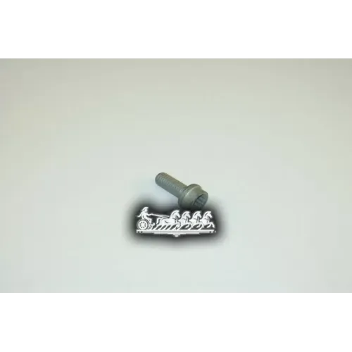 Винт С Бурт.,Цил.гол,Внут.torx Audi/Vw VAG 