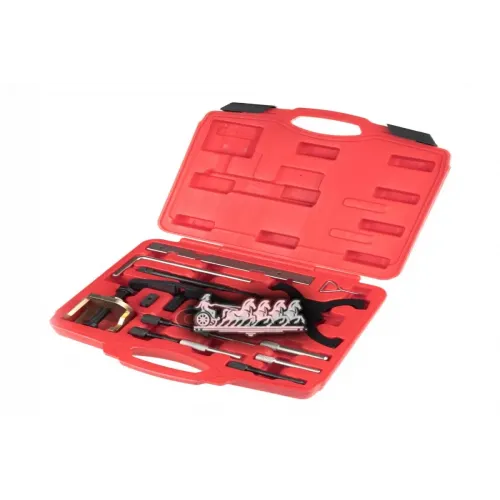 Набор Фиксаторов Распредвала И Коленвала Ford ARNEZI 