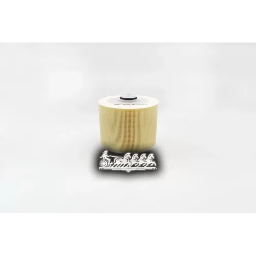 Фильтр Воздушный Audi A6 -11 2.4/3.2Fsi/3.0Tfsi/4.2/4.2Fsi (Круглый) BIG FILTER 