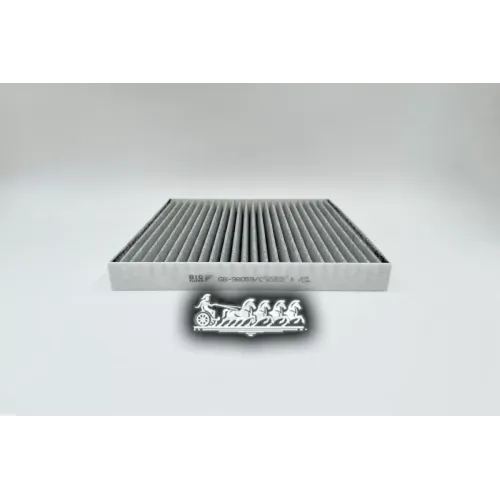 Фильтр Салона Hyundai Sonata/Santa Fe 18- BIG FILTER 