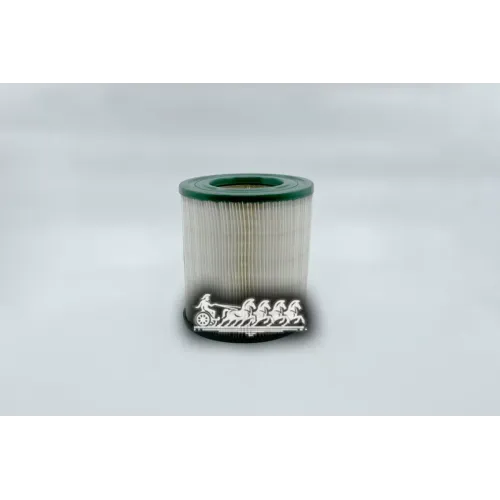 Фильтр Воздушный Газ 07- BIG FILTER 