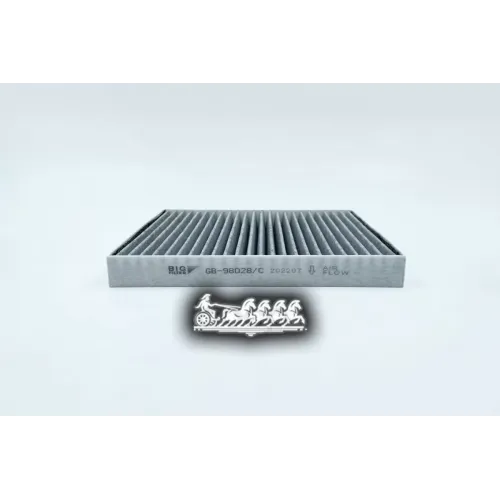 Фильтр Салона Hyundai/Kia Tucson/Creta 15- (Уголь) BIG FILTER 