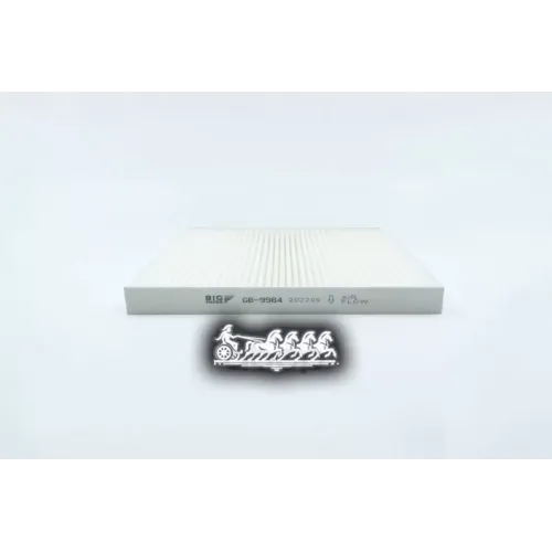 Фильтр Салона Psa Boxer/Jumper/Ducato 11-/07- BIG FILTER 