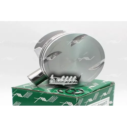 Поршень Mb M272/M273 (Std) Autowelt 