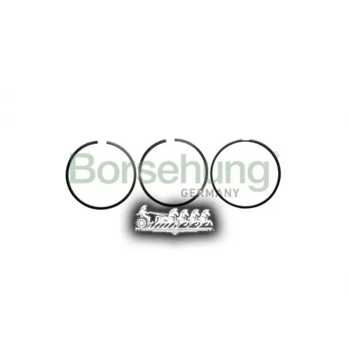 Кольца Поршневые Комплект Vag A4 -12 На 1 Цил.(Мин 4 К-Т.) BORSEHUNG 