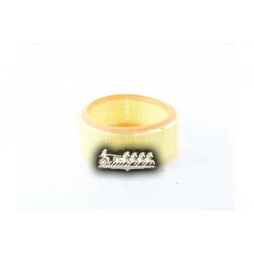 Фильтр Воздушный Renault Clio/Ii/Kango/Logan/I/Sandero/I/Thalia 98- BSG AUTO PARTS 