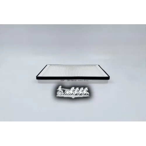 Фильтр Салона Peugeot 405 88- BIG FILTER 