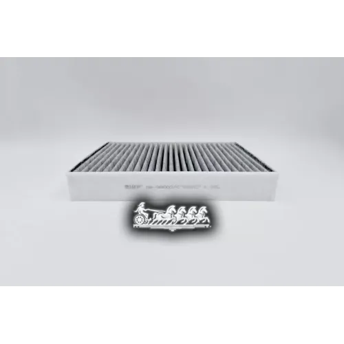 Фильтр Салона Bmw 1(F20)/3(F30) 11- (Угольный) BIG FILTER 