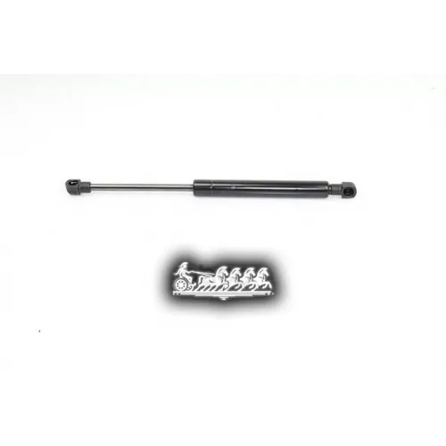 Амортизатор Капота Bmw X5 E53 00- BSG AUTO PARTS 