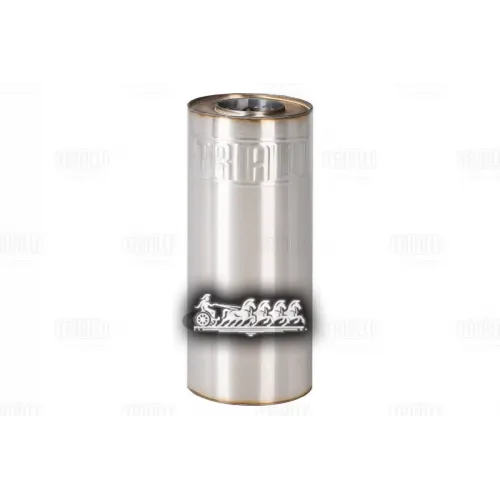 Глушитель Универс. (Круг D 100) L 380, D 52 (1-Вход 1-Выход) (Нерж. Сталь) Trialli EAM 10I38052