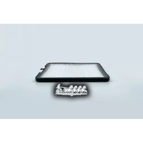 Фильтр Салона Hyundai/Kia I10/Picanto BIG FILTER 