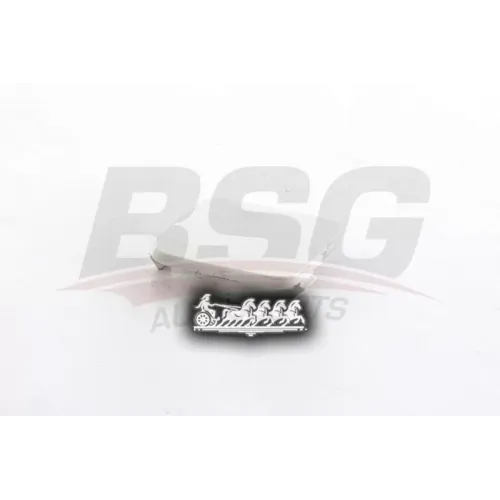 Заглушка В Бампер Ford Focus 05- BSG AUTO PARTS 