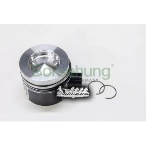 Кольца Поршневые Комплект Vag BORSEHUNG 