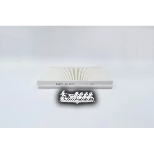 Фильтр Салона Citroen Xsara Picasso 99- BIG FILTER 