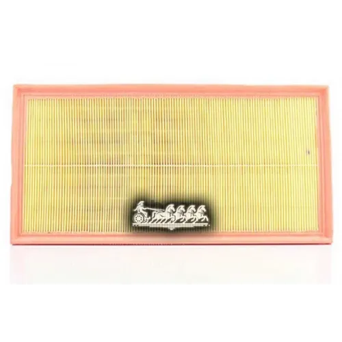 Фильтр Воздушный Vag Touareg/Q7/Cayenne 04- BSG AUTO PARTS 