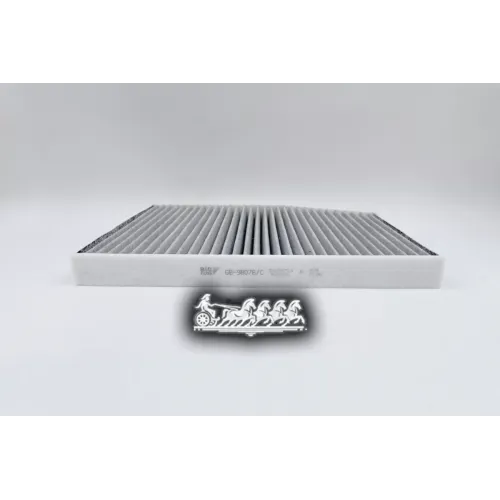 Фильтр Салона Ford Transit/Tourneo (Угольный) BIG FILTER 