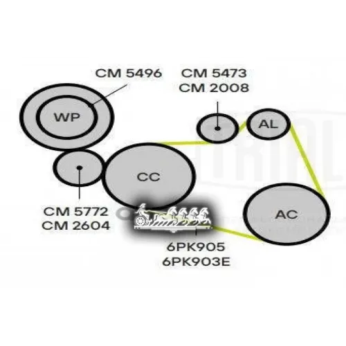 Ролик Привод. Ремня Для А/М Peugeot 308 (08-) 1.4/1.6 Генератора (Cm 2008) Trialli 