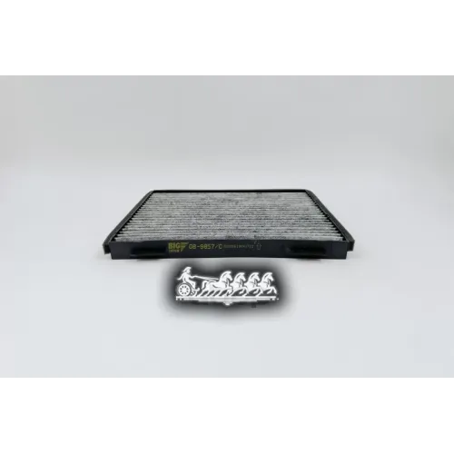 Фильтр Салона Chery/Kia Fora/Cerato Угольный BIG FILTER 