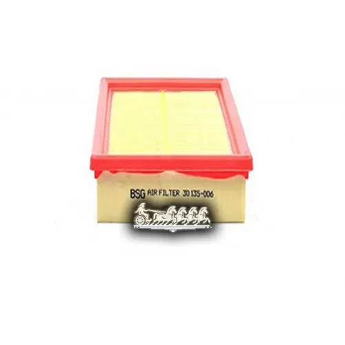 Фильтр Воздушный Ford Focus/Connect 98- BSG AUTO PARTS 