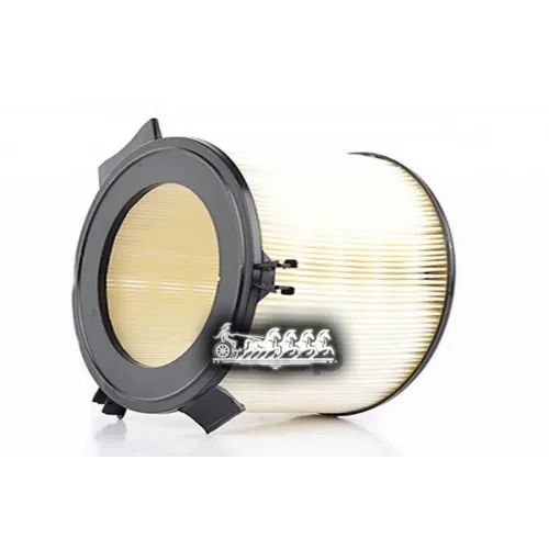 Фильтр Салона Vag T4 91- BSG AUTO PARTS 