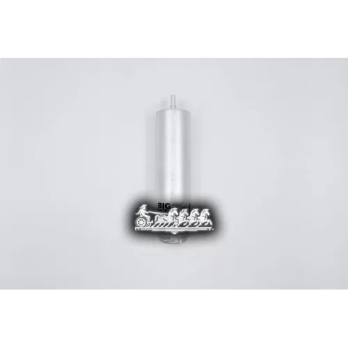 Фильтр Топливный Bmw 1(F20)/2(F22)/3(F30)/Mini BIG FILTER 