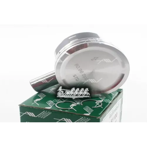 Поршень Vag Vw 1.8T 20V Aeb/Agu (0.25) Autowelt 