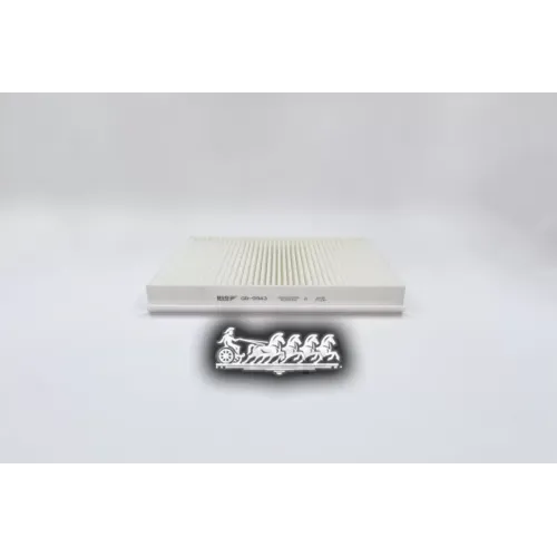 Фильтр Салона Honda Civic 06- BIG FILTER 