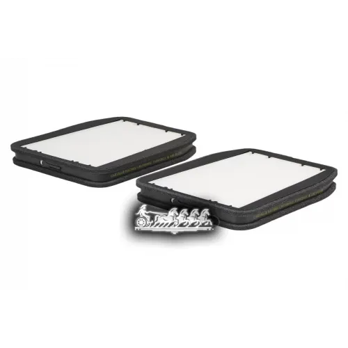 Фильтр Салона Mb E(W211) (Компл. 2 Шт.) Carville Racing 