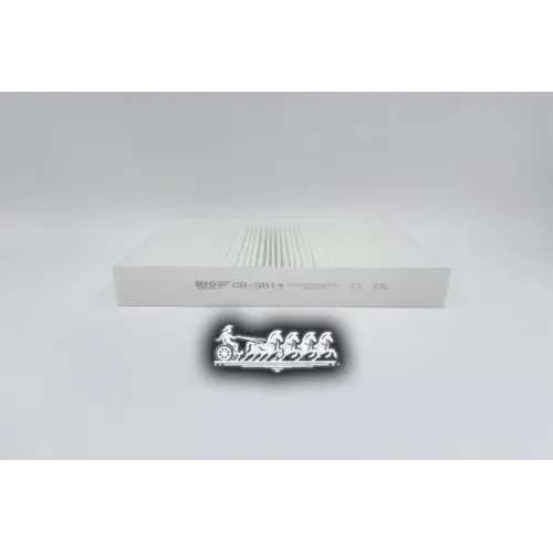 Фильтр Салона Ford Focus 2 04- BIG FILTER 