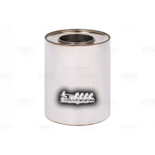 Пламегаситель Универс. 120 / 250-63 С Перф. Диффузором (Нерж. Сталь) Trialli ESM12025063d