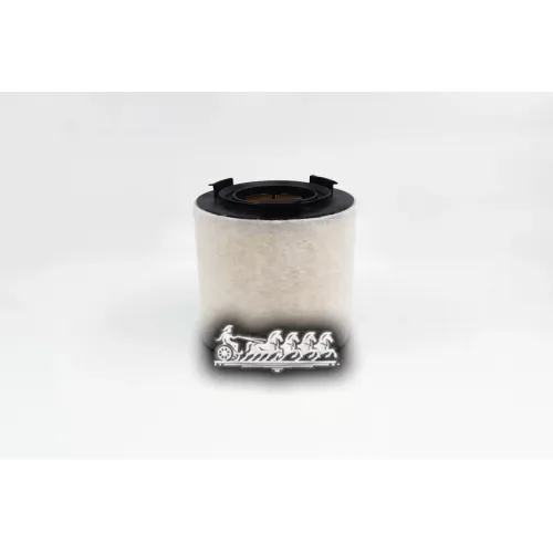 Фильтр Воздушный Vag Rapid/A1/Polo 10- 1.2Tsi/1.4Tsi/1.6Tdi (Круглый) BIG FILTER 