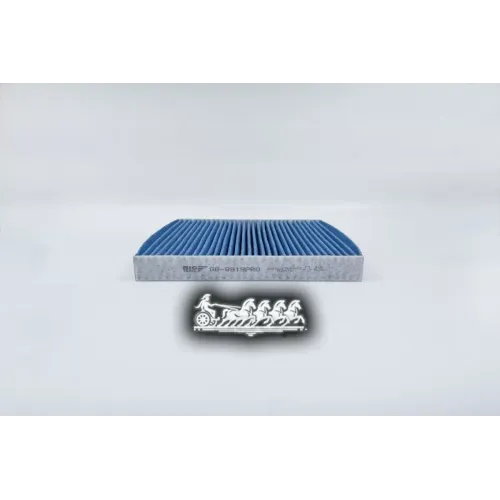 Фильтр Салона Acura/Honda/Haval Mdx/Rdx/Accord/Civic/H6 -21 Антибактериальный BIG FILTER 