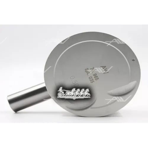 Поршень (Без Колец) Hyundai G4ed Dohc 16V (0.50) Autowelt 