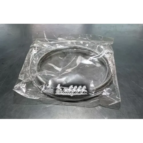 Кольца Поршневые Комплект Ssangyong 1 Цил. Autowelt 