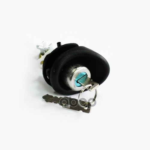 Личинка Замка Багажника С Ключем ASAM-SA 