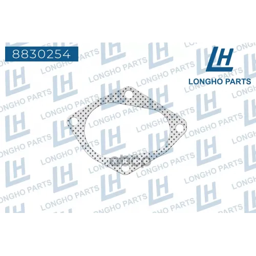 Прокладка Приемной Трубы Vw Longho 