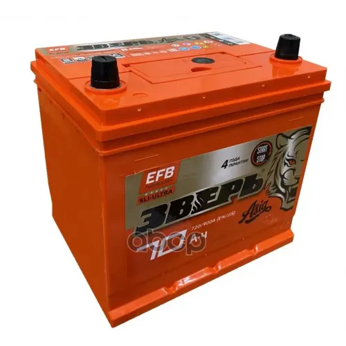 Аккумулятор 70Ah 900A 232Х175х225 (Efb) О.п. (-+) ЗВЕРЬ 