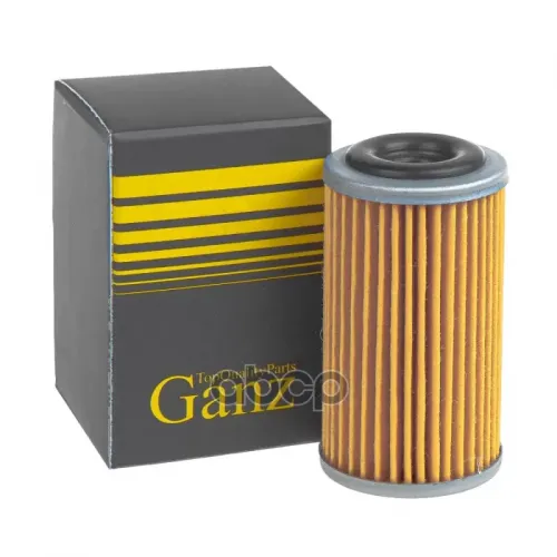 Фильтр Акпп Chery/Omoda/Exeed Txl/Vx/Lx 2.0 Cvt Ganz Gih02112 GANZ 
