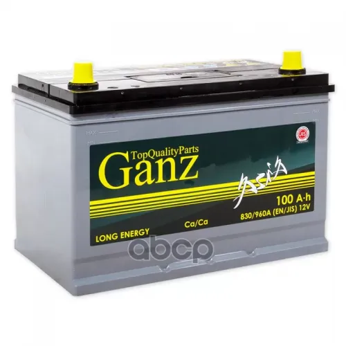 Аккумулятор Ganz Asia 100 А/Ч Обратная R+ 304X173x220 En830 А GANZ 