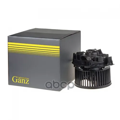 Вентилятор Отопителя Салона Renault Megane/Megane Scenic Ii 03- GANZ 