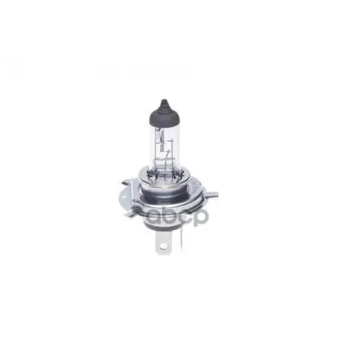 Лампа 12V 60/55W H19 Pure Light Bosch 