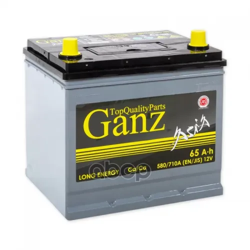 Аккумулятор Ganz Asia 65 А/Ч Обратная R+ 232X175x225 En580 А GANZ 