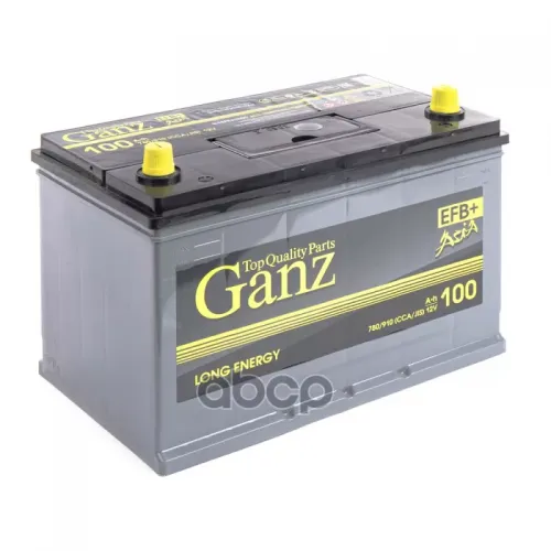 Аккумулятор Ganz Asia Efb 100 А/Ч Обратная R+ 306X175x225 En780 А GANZ 