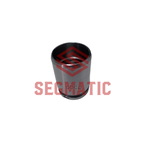 Поршень Суппорта Ford/Honda/Peugeot Kuga/Accord/308 SEGMATIC 